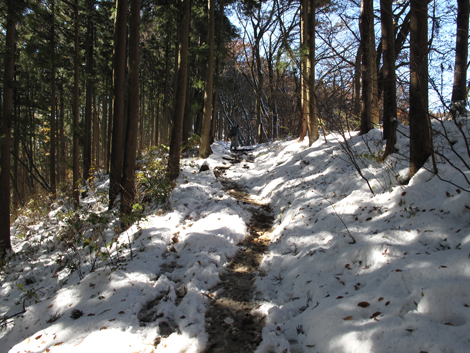 20161125hike (177)